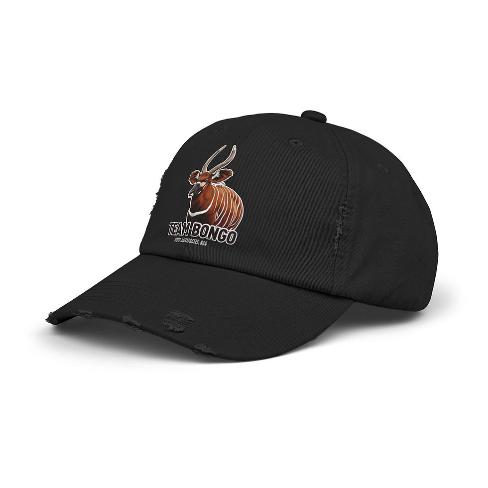 Thumbnail: Team Bongo Distressed Cap by RSCF