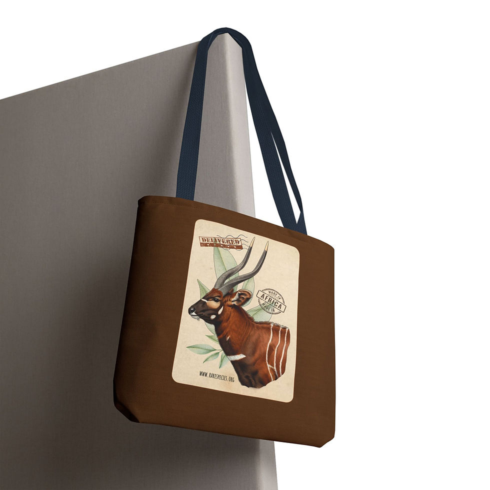 Thumbnail: Vintage Bongo Antelope Tote Bag by RSCF