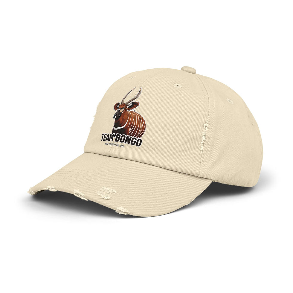 Thumbnail: Team Bongo Distressed Cap by RSCF