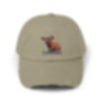 Thumbnail: Team Bongo Distressed Cap by RSCF