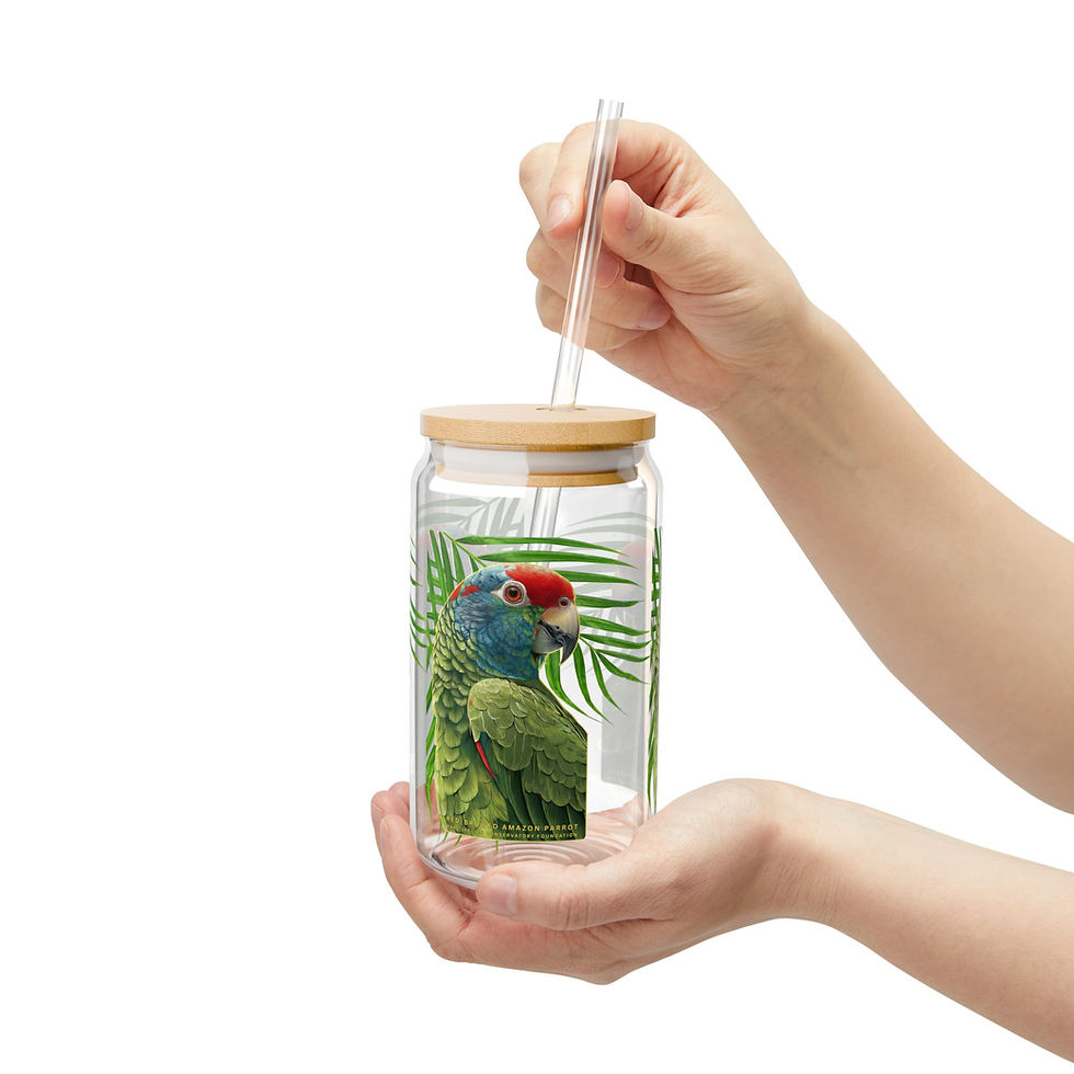 Thumbnail: Red-browed Amazon Parrot Glass Sipper (16 oz)