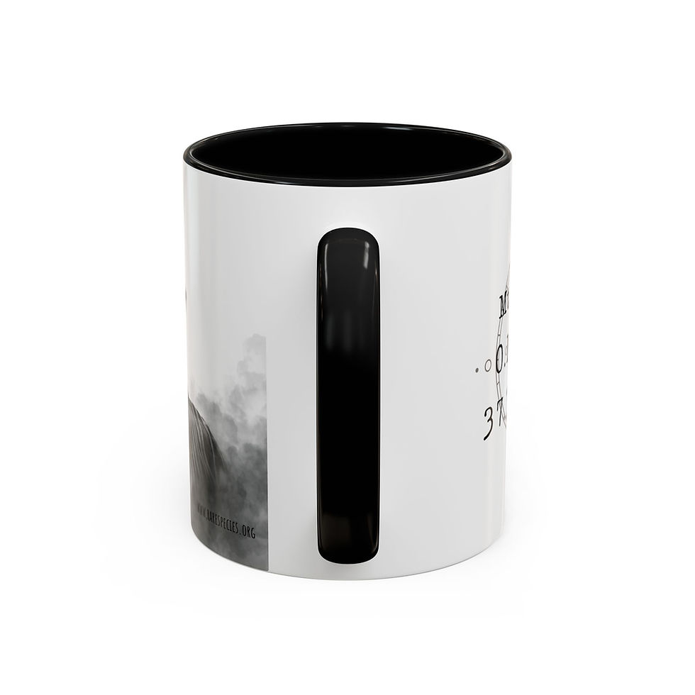 Thumbnail: Mountain Bongo Antelope Accent Coffee Mug  by RSCF (11/15oz)