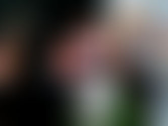 Cặp vợ chồng ở St. Louis chĩa súng vào người biểu tình bị kết án với tội sử dụng vũ khí