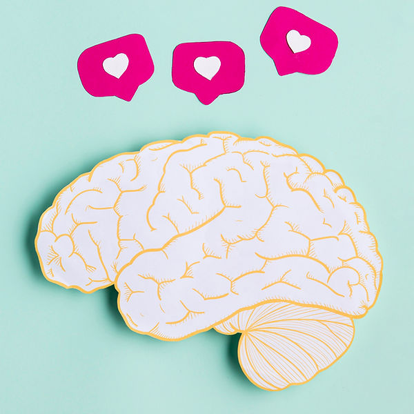 top-view-paper-brain-shape (1).jpg