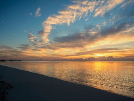 Journée de la Terre : Viva Resorts by Wyndham, un groupe hôtelier engagé pour l'humain et l'environnement