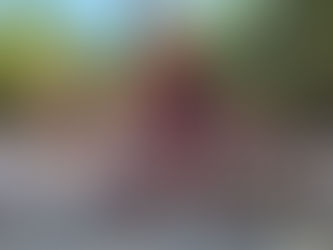 LES FÊTES EN MAÏLLOT DE BAIN AVEC VIVA RESORTS BY WYNDHAM