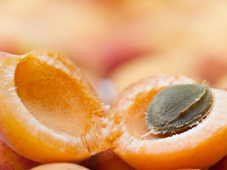 Economia circular: startup aproveita caroço de fruta para criar valor no campo