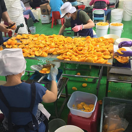 水果八專業分工.jpg