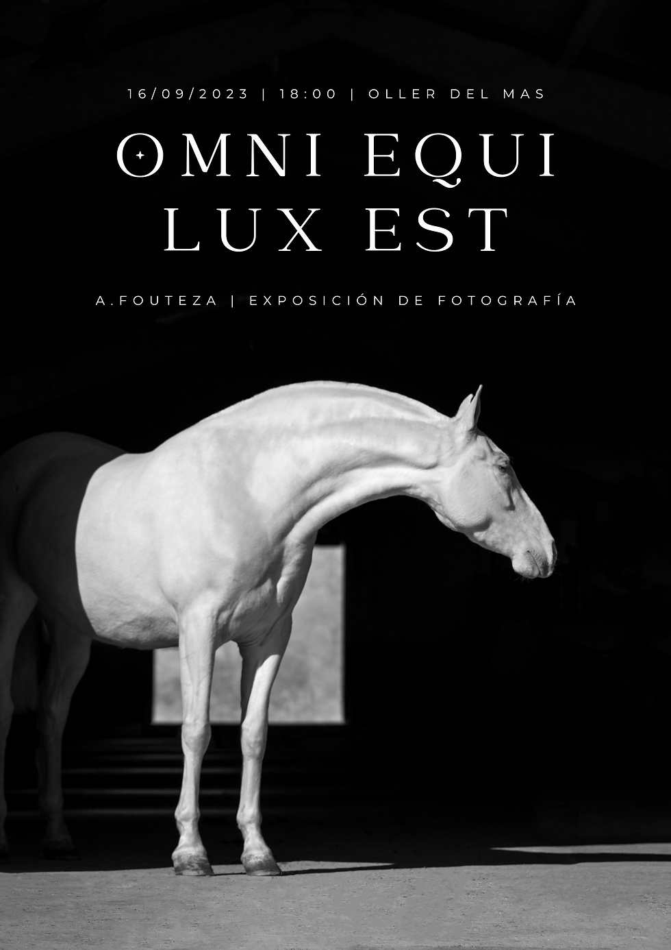 Exposición "Omni Equi Lux Est"