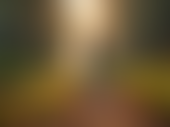 Creative Approaches to Achieving Your Fitness Goals