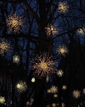 Christmas Lights
