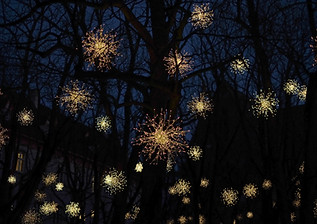 Christmas Lights