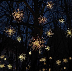 Christmas Lights