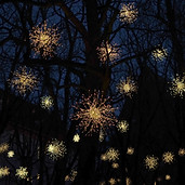 Christmas Lights