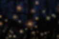 Christmas Lights