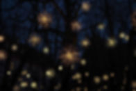 Christmas Lights