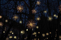 Christmas Lights