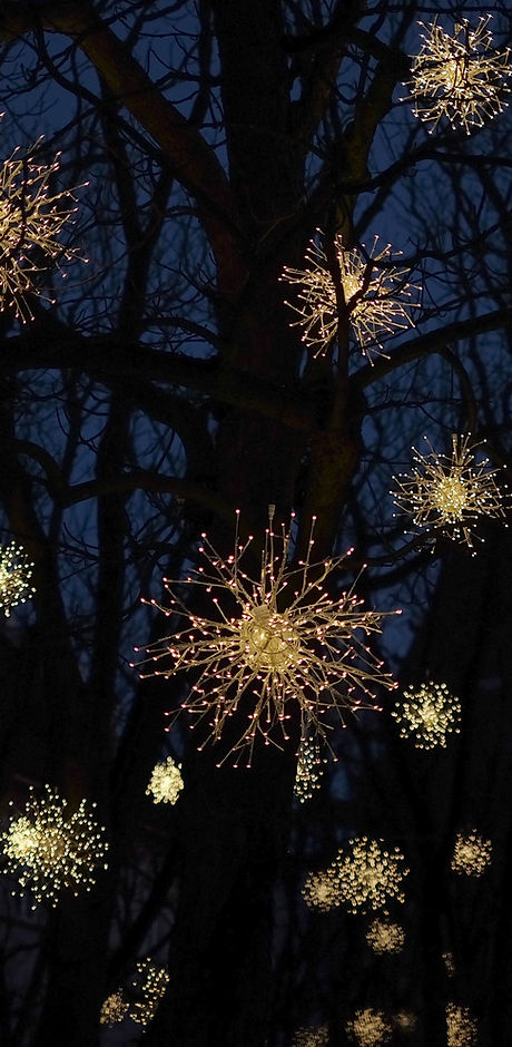 Christmas Lights