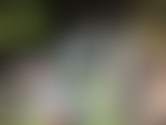 merlin nero xv und ich :-)