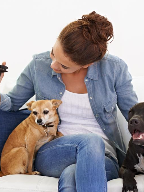 Why Choosing the Right Dog Sitter Matters for Your Furry Family Member