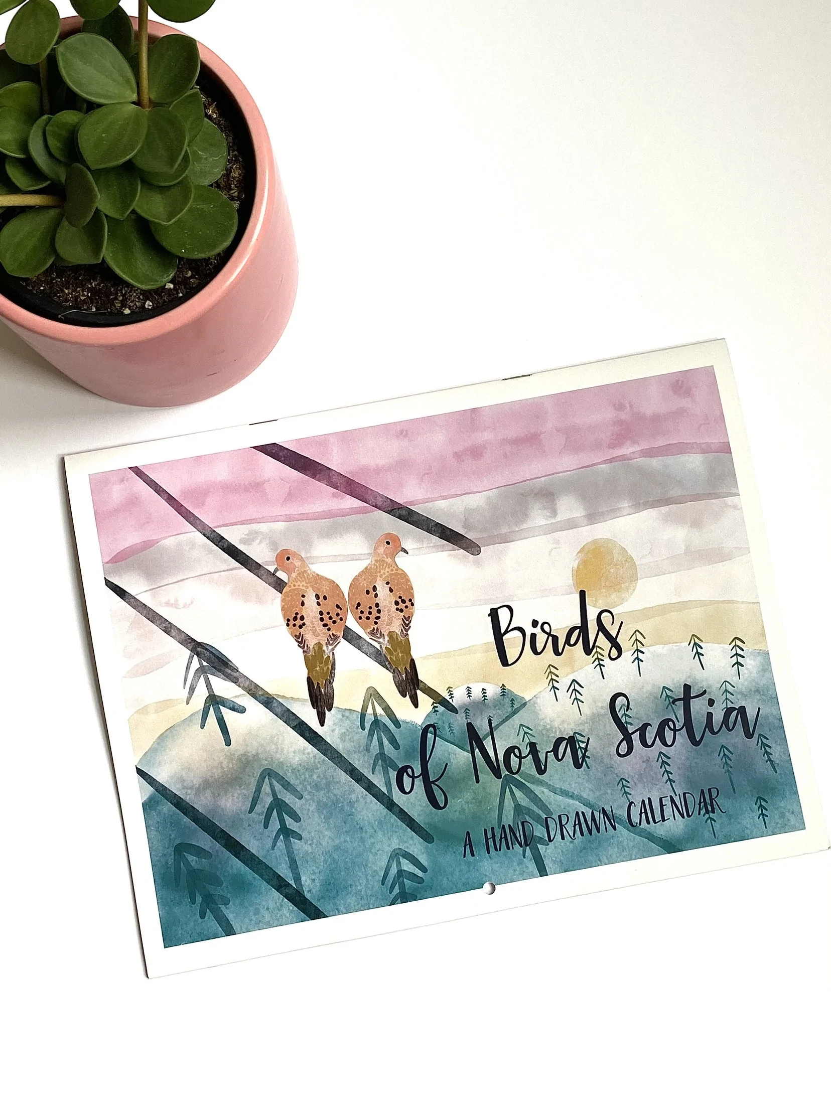 2024 Birds of Nova Scotia Calendar Poplar Paper Co. Jennifer's of NS