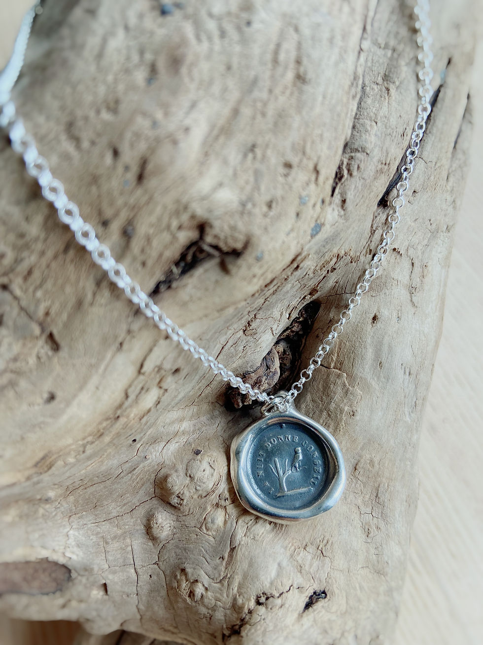 Thumbnail: Owl Silver Necklace | Wisdom | Plum + Posey
