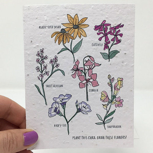 Thumbnail: Wildflower Seed Card | Jill + Jack Paper