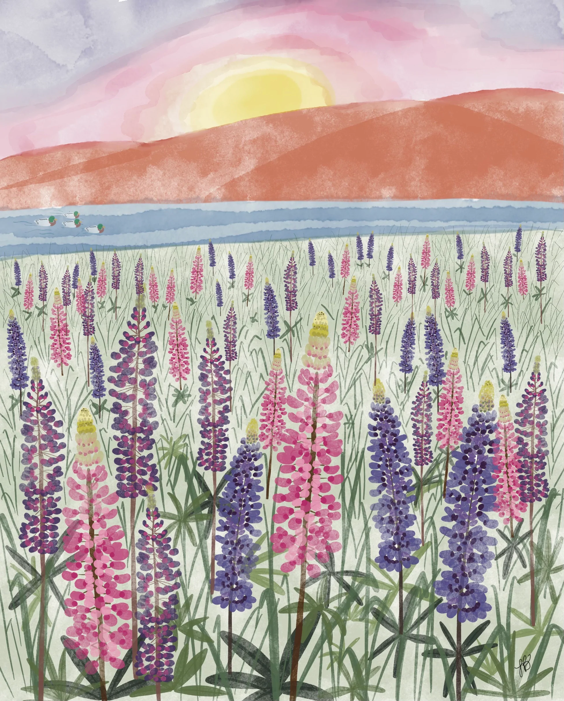 PEI Shores- Lupins | Print | Poplar Paper Co.