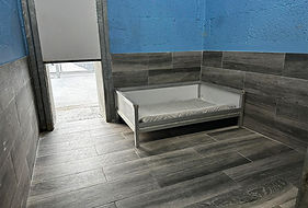 RoomShot2_0.5x.jpg