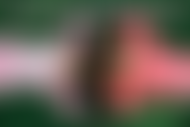 Finding Friendship: My Sister's Keeper