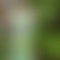 About the politics embedded in creative spaces