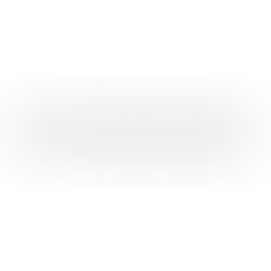 Shane Nathan Shockley: Building a Positive Online Presence