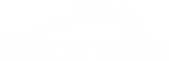 LOGO_ELECTROLIFE_BLANCO_CMYK (2).png