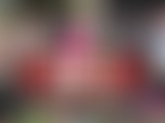 Florida’s Premier Girls Flag Football Showdown.