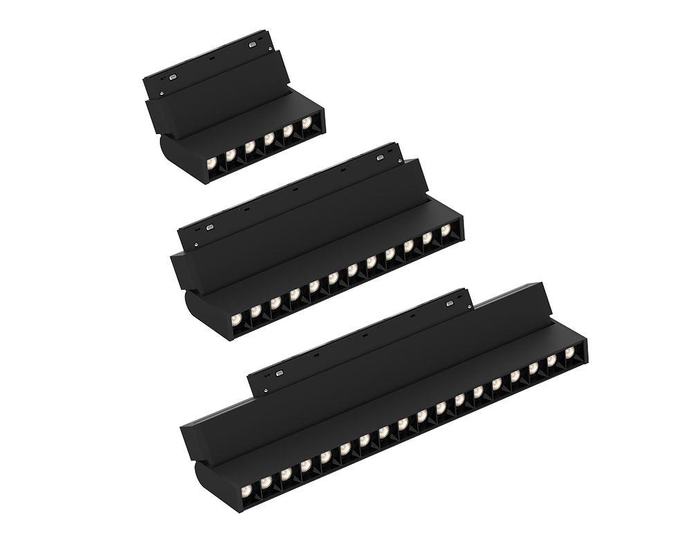 Miniatura: RIEL MAGNETICO MODULO OPTICAS