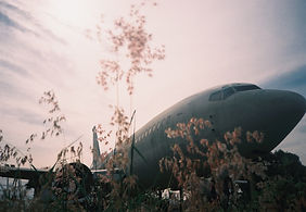 F1050006.jpg