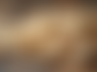 Understanding Cashew Grades: Why W400 Is Perfect for Everyday Use