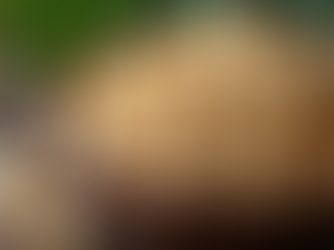 Discover the Rich Flavor of Cashew W400 from Kerala Spices at Spice Storry by Daay Spices