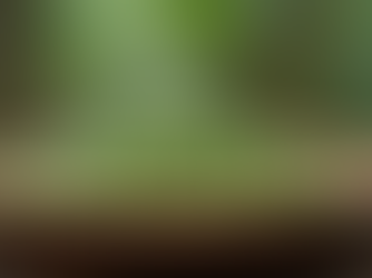 “From Green Bean to Bold Brew: The Art of Roasting Kerala Coffee”