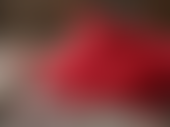 Why Kerala Mace Is Considered a Premium Aromatic Spice