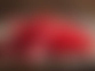 “The Scarlet Treasure: Why Mace is Kerala’s Most Elegant Spice”