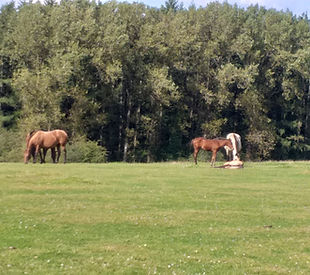 © Thérèse Coriou_groupe familial 2024.jpg