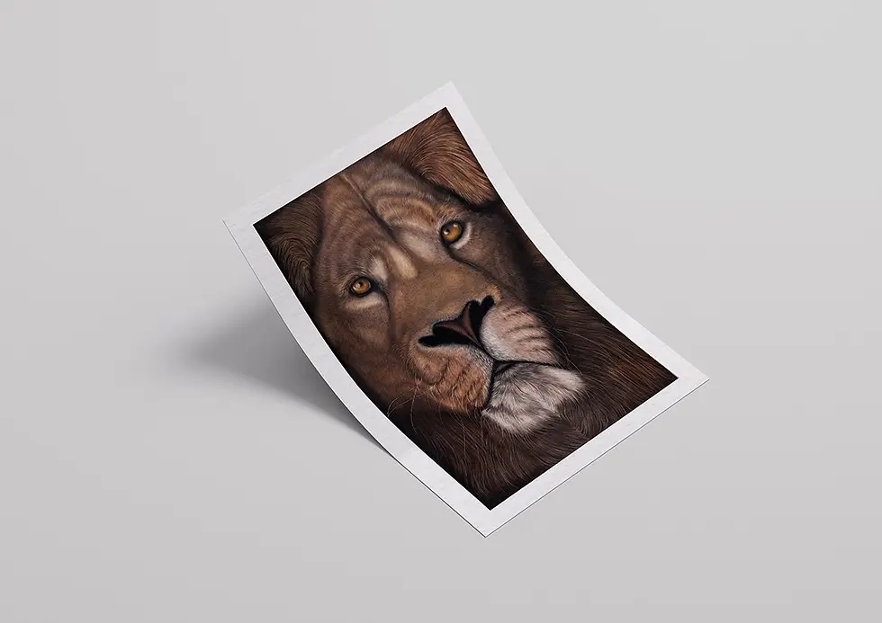 Thumbnail: I am The King Print