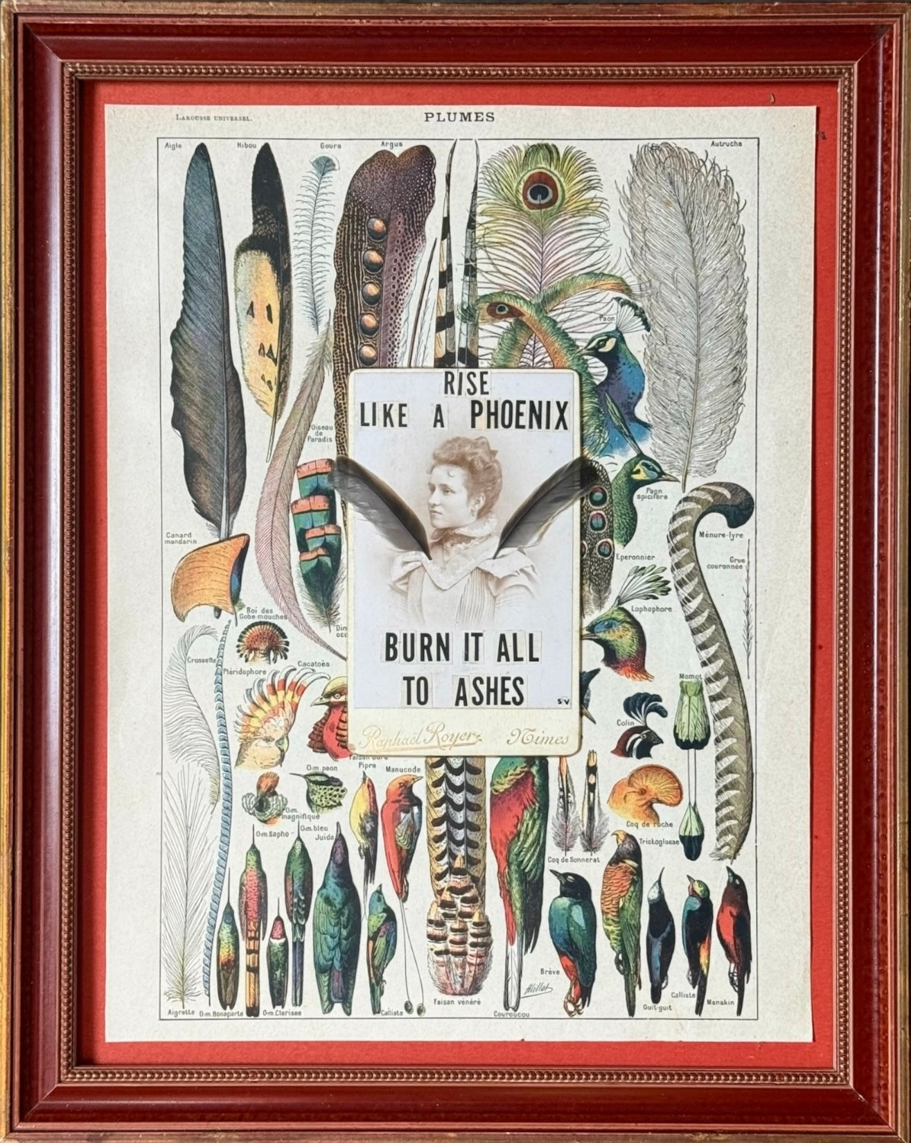 *Rise like a phoenix