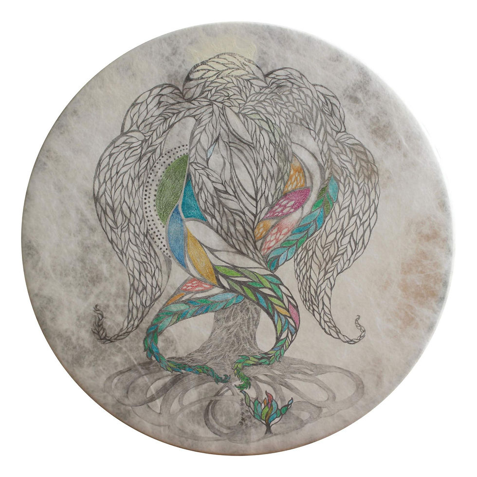 흰버드나모, 2019