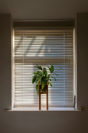 Timber venetian blinds installed in Sydney Eastern Suburbs home — precise light control by Archer Flynn