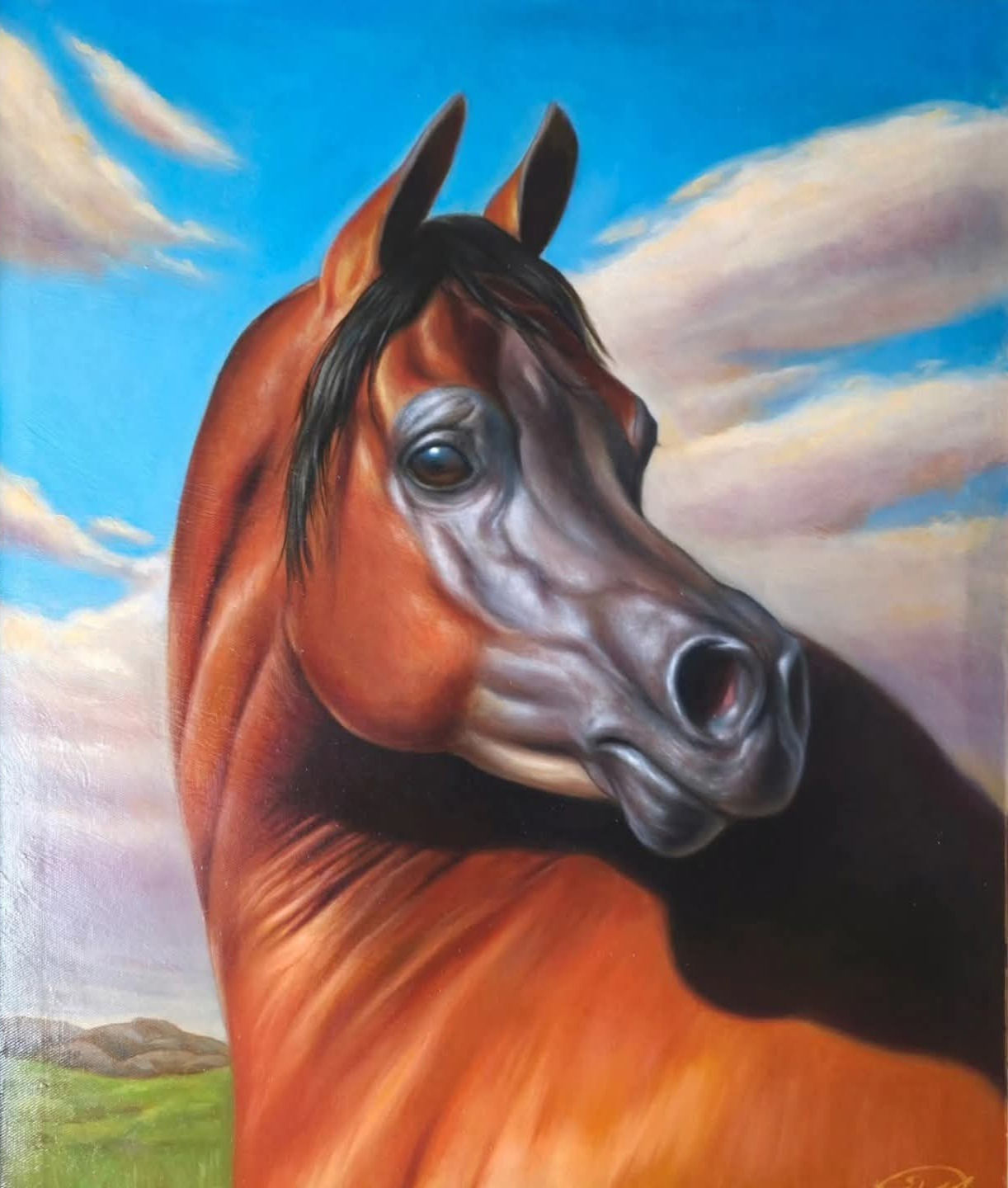 Arabic Horse