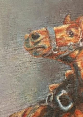 Equine elegance