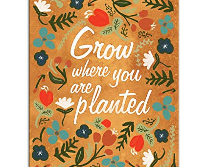 Are you ready to "Grow Where You are Planted"?