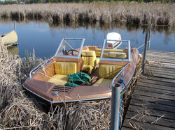 my boat in the weeds